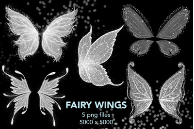 Fairy Wings png, butterfly wings png