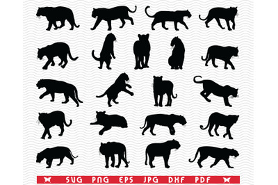 SVG Tigers, Black isolated silhouettes,  Digital clipart