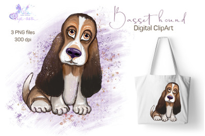 Basset hound (Digital ClipArt)