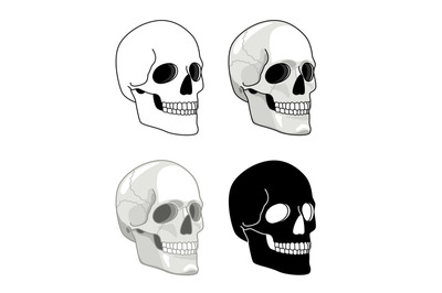 Simple drawn skull. Vector hell skulls icons, tattoo human skeleton he