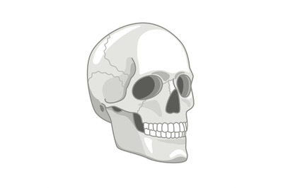 Cartoon skull drawn. Cute gray skulls face concept vector illustration