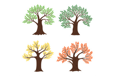 Four seasons trees. Vector seasonal tree vector set illustrations, bea