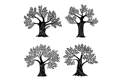 Living trees silhouettes. Minimalistic genealogical tree set with foli