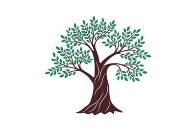 Tree green drawing. Oak graphics, environment religious creative knowl