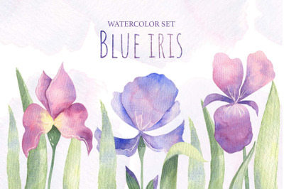 Blue iris watercolor set, JPEG and PNG format