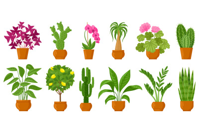 Cartoon potted plants, home and garden flowers in pots. Botanical flow