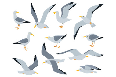 Cartoon seagull birds, sitting, flying and walking gulls birds. Marine