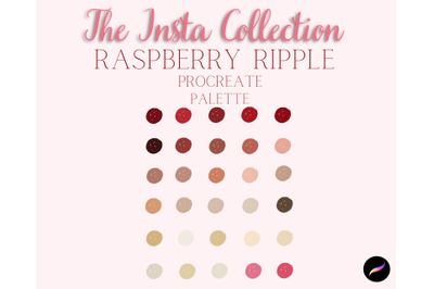 Procreate Social Media Palette ~ Raspberry Ripple