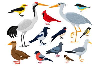 Cartoon flying birds, crane, red cardinal duck and seagull. City, wood