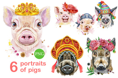 Cute watercolor pigs. Part 1