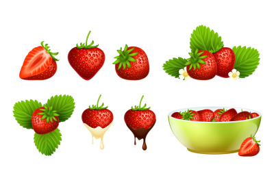 Red strawberry. Realistic berries, strawberries plants with leaf and f