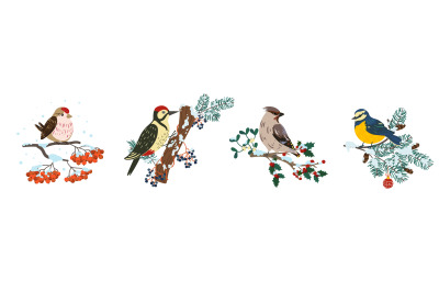 Winter birds on branches. Cute little birds on different trees sprigs,