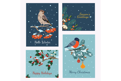 Winter birds cards. Christmas snowy banners with cute flying animals o