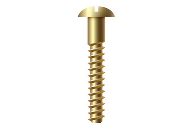 Gold metal bolt. Round slotted head fastener