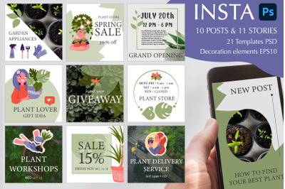 House plant Instagram