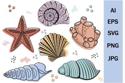 Set of seashells, SVG format