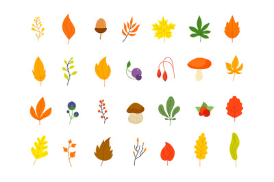 Flat autumn forest elements. Leaves berries icons, graphic leaf. Oak m