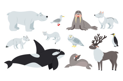 Arctic animals. Polar animal, cartoon cute bear walrus penguin. Flat f