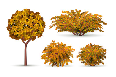 Realistic tree and bush. Autumn shrub, seasonal hedge elements. Isolat