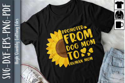 Promoted From Dog Mom To Human Mom