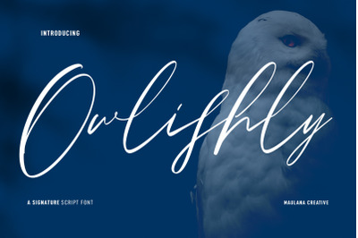 Owlishly Signature Script Font