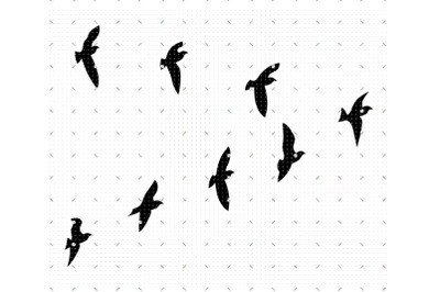 Flock of Birds SVG
