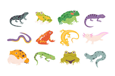 Cartoon exotic amphibian and reptiles, lizards, newts, toads and frogs