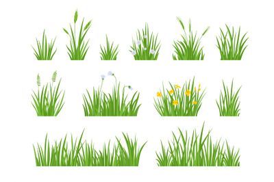 Cartoon green meadow grass with flower, herbs and spike ears. Spring g