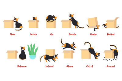 Preposition. Learning english prepositions with cute cat. Preschool ed