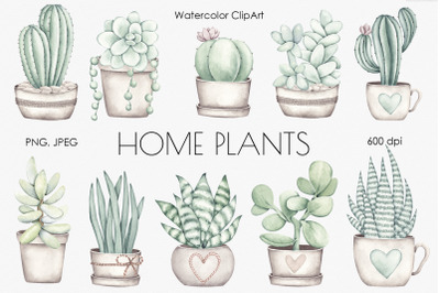 Watercolor Set &quot;Home plants&quot;