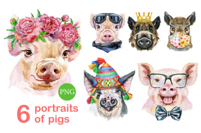 Cute watercolor pigs. Part 2