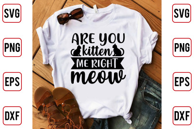 Are You Kitten Me Right Meow