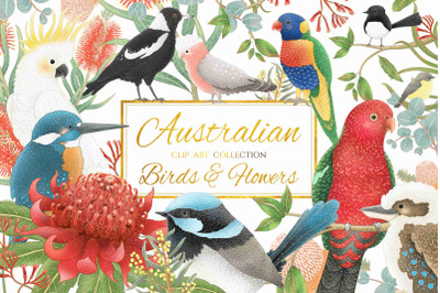 Australian Birds &amp;amp; Flowers | 27 Elements | PNG / JPEG Files