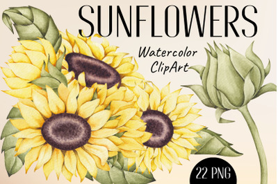 Watercolor ClipArt Sunflowers