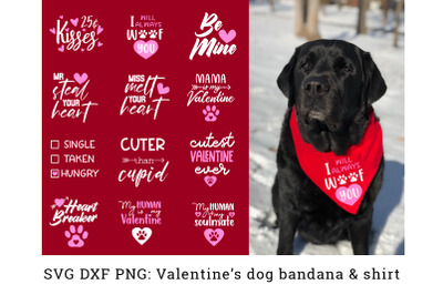 Valentine Dog Bandana SVG. Valentine Dog Quote Valentine Dog Shirt SVG