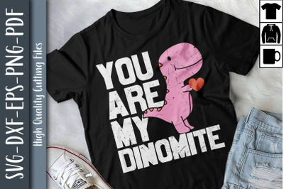 Valentines Day You Are My Dinomite