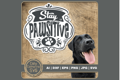 Stay Pawsitive Funny Dog Positive Inspirational Quote SVG Cut File