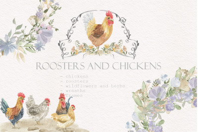 Hens and roosters