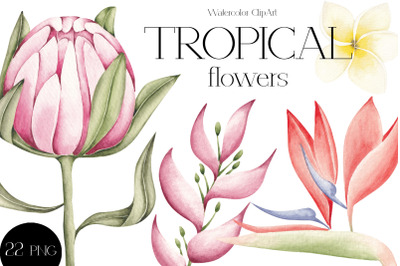 Watercolor ClipArt Tropical Flowers