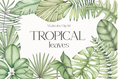 Watercolor ClipArt &quot;Tropical Leaves&quot;