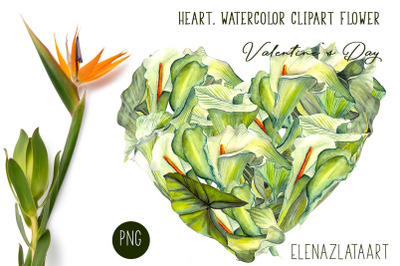 Valentines Day Heart watercolor  flower clipart.