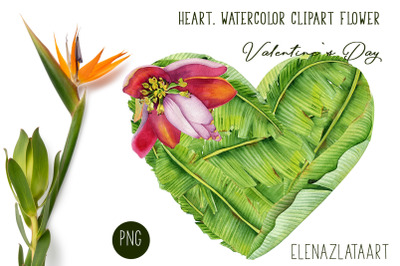 Valentines Day Heart watercolor  flower clipart.