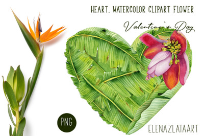 Valentines Day Heart watercolor  flower clipart.