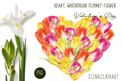 Valentines Day Heart watercolor  flower clipart.