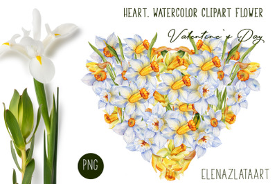 Valentines Day Heart watercolor  flower clipart.