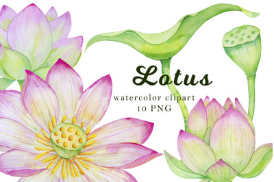 Lotus clipart, watercolor flower clipart
