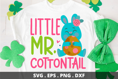 Little mr cottontail