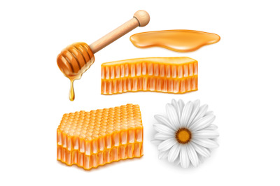 honey bee honeycomb vector