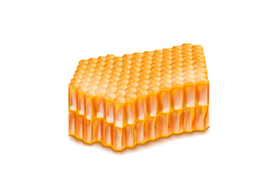 honey honeycomb vector