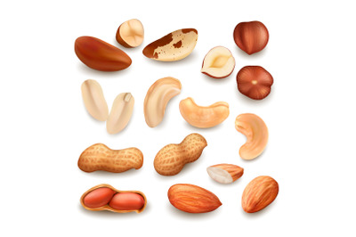 Nuts Delicious Natural Bio Nutrition Set Vector